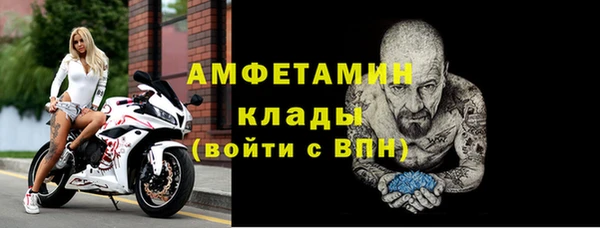 сатива Волоколамск