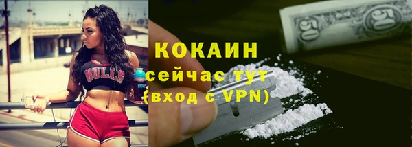 сатива Волоколамск
