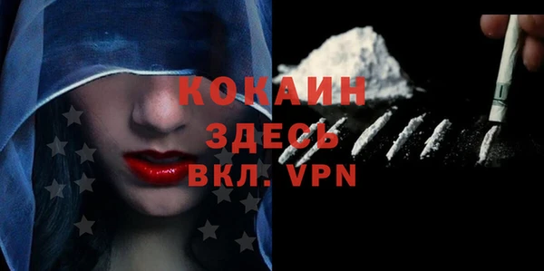 сатива Волоколамск