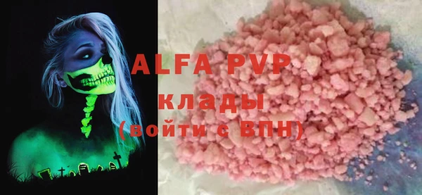 сатива Волоколамск