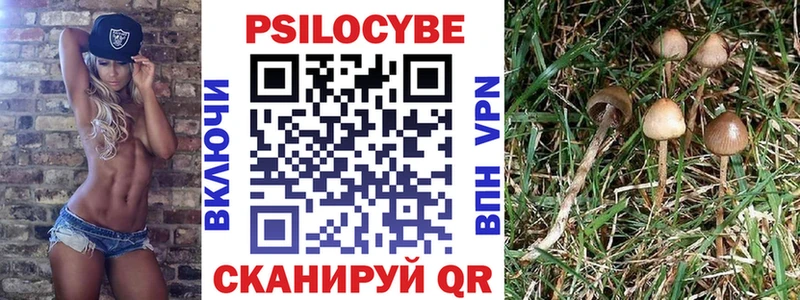 что такое   ОМГ ОМГ ссылка  Галлюциногенные грибы Psilocybe  Малая Вишера 